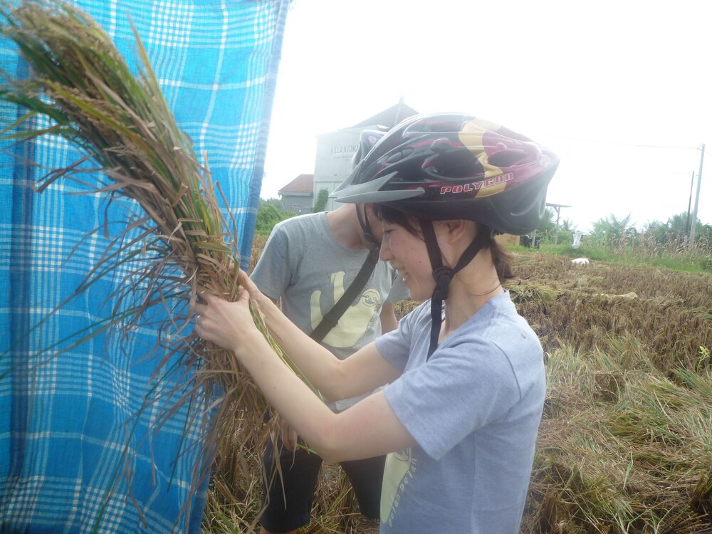 Bicycling