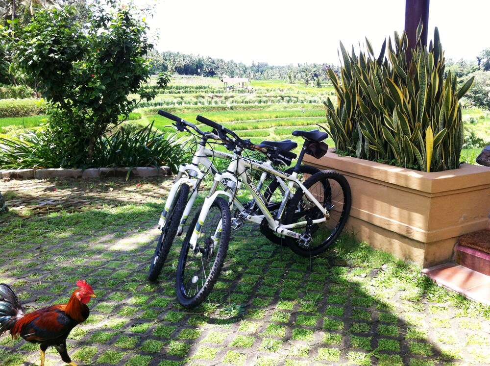 Bicycling