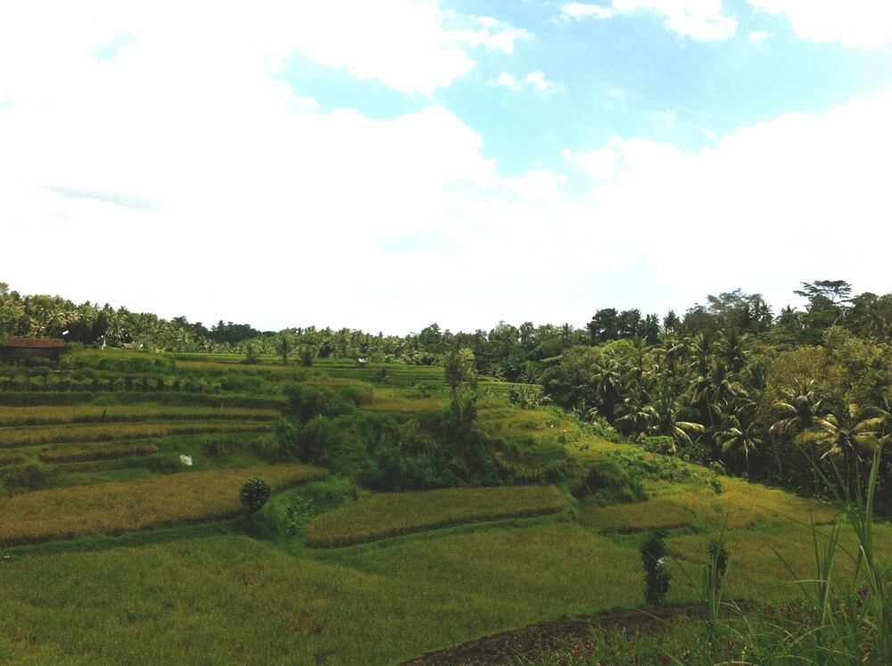 View from Hotel