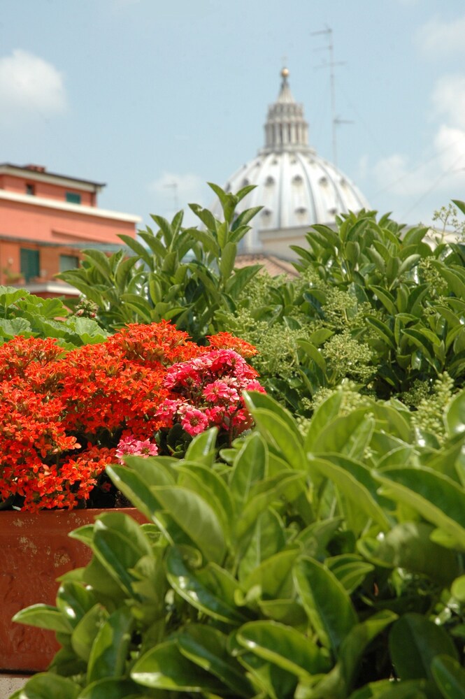 Vista dall'hotel