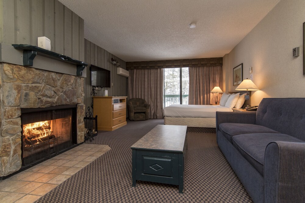 Studio, 1 Queen Bed with Sofa bed, Kitchen - Guestroom