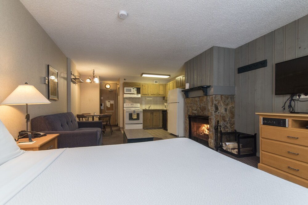 Studio, 1 Queen Bed with Sofa bed, Kitchen - Living Area