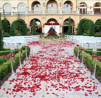 Outdoor Wedding Area