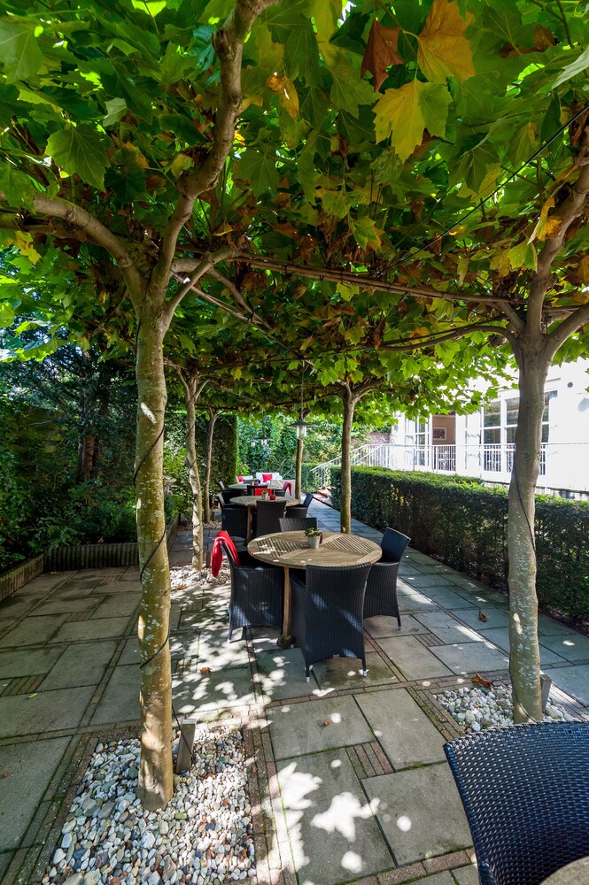 Terras