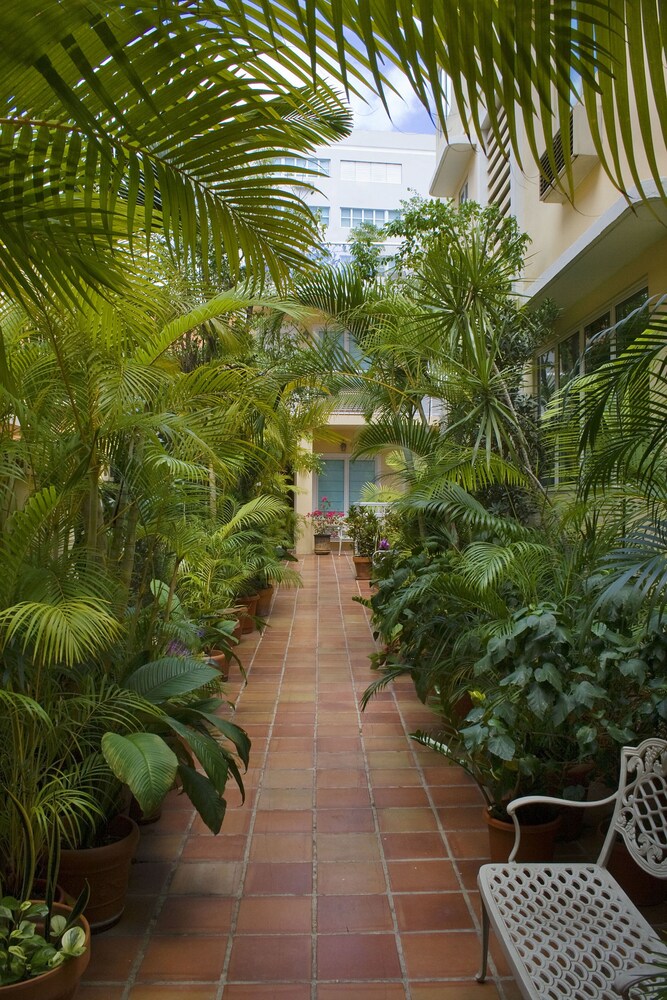 Courtyard View