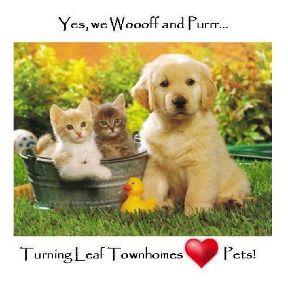 Pet-Friendly