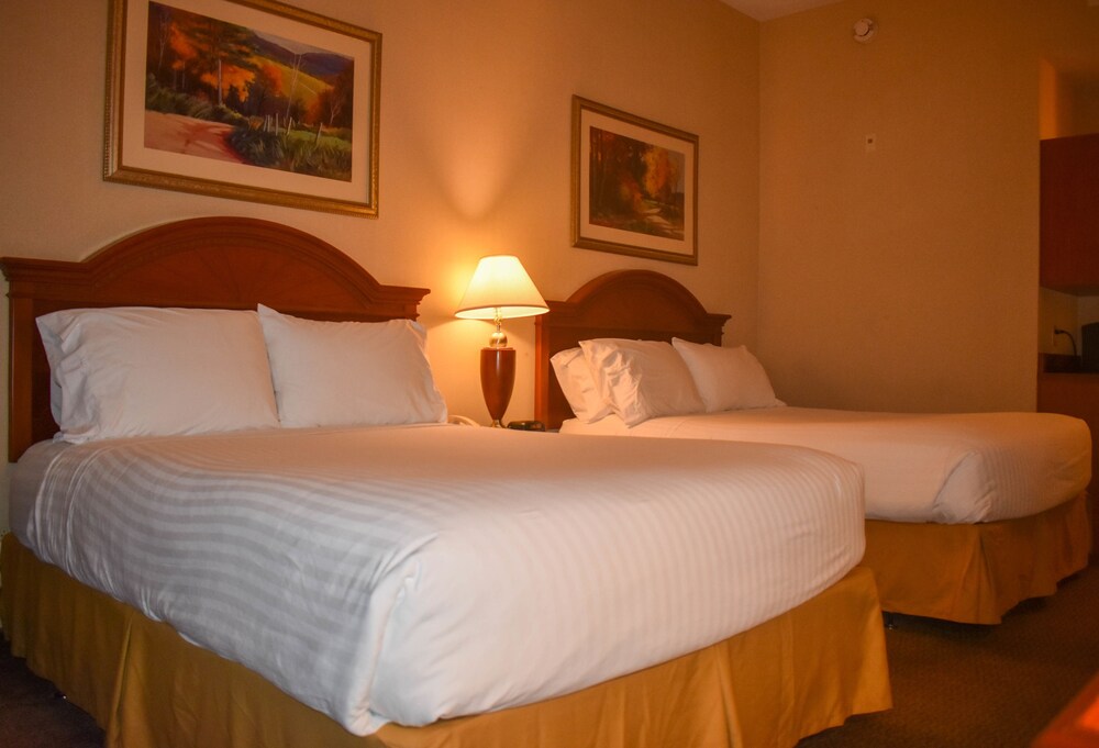 Guestroom View
