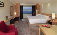 Room, 1 King Bed
