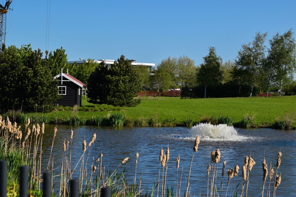 Tuin