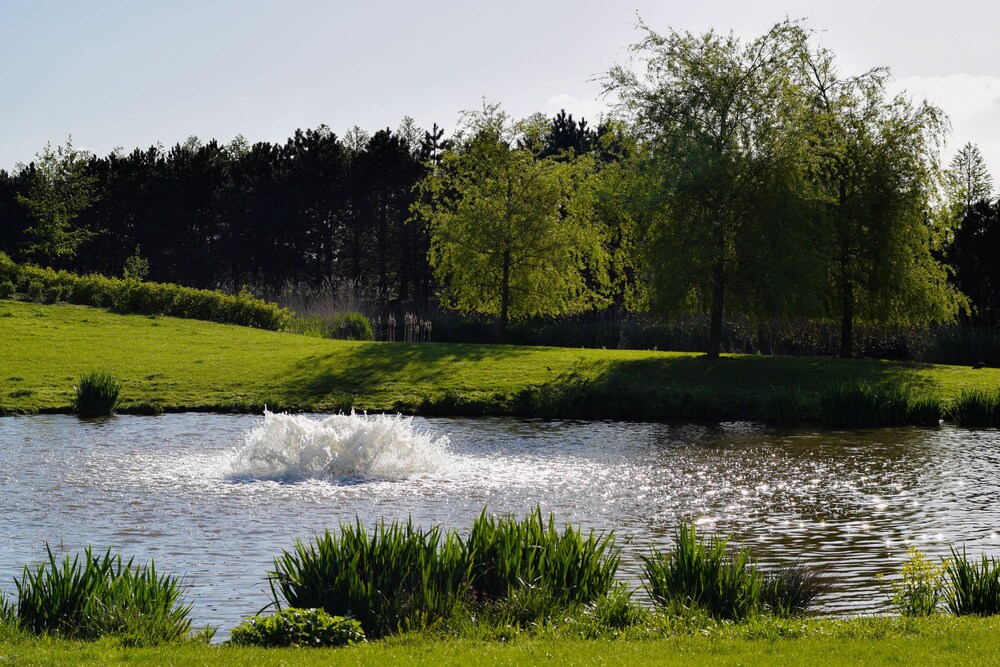 Tuin
