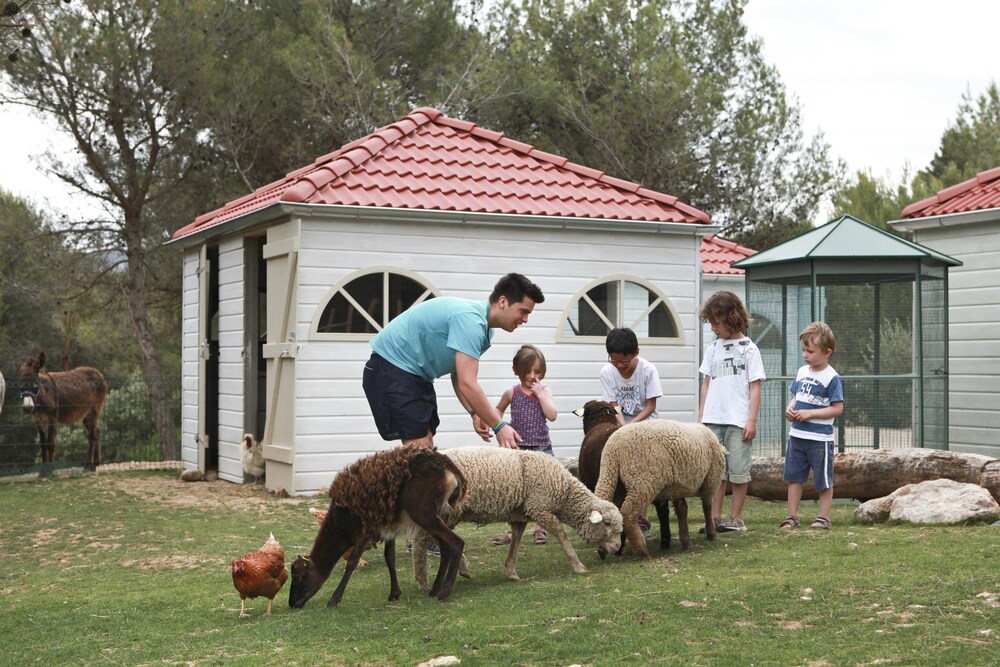 Childrens Activities