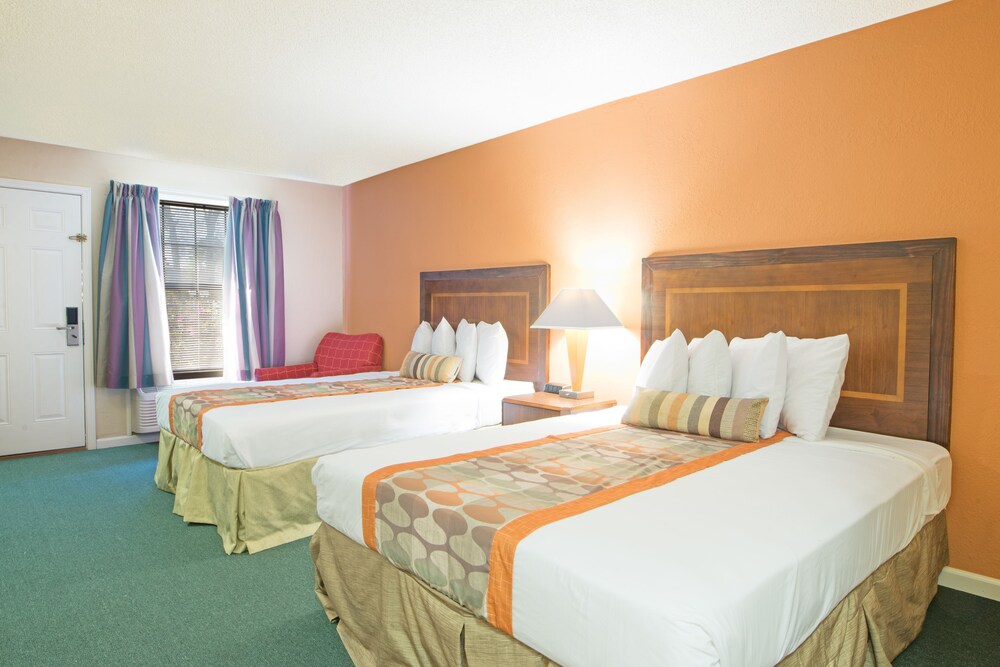Guestroom View