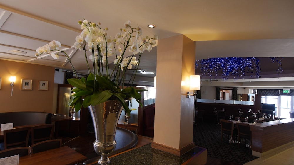 Hotel Lounge