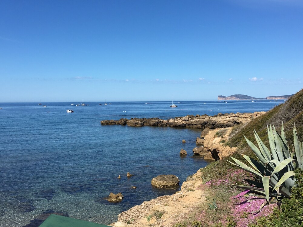 Beach/Ocean View