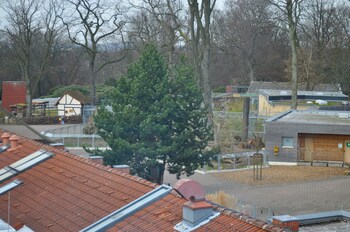 View from Hotel