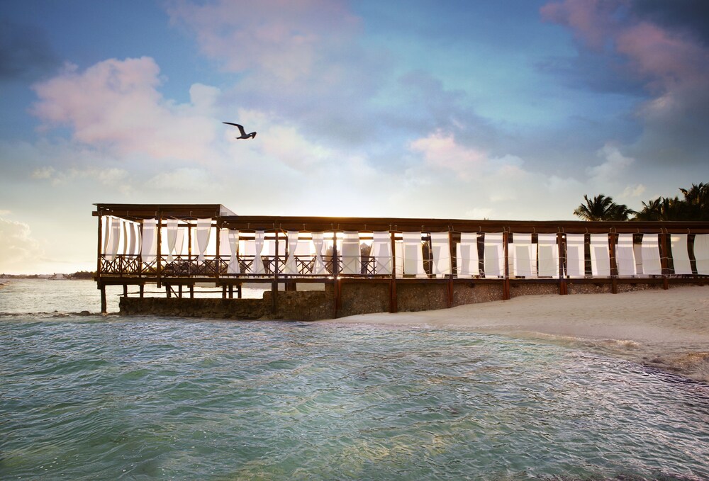 Beach/Ocean View