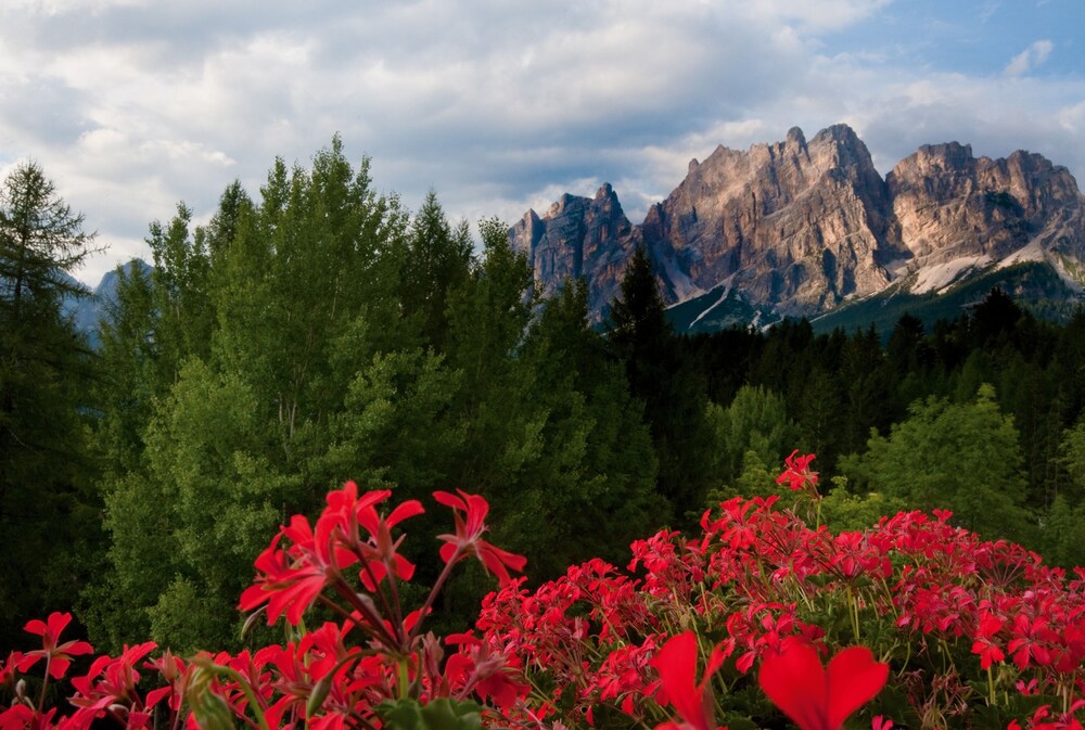 Vista montagna