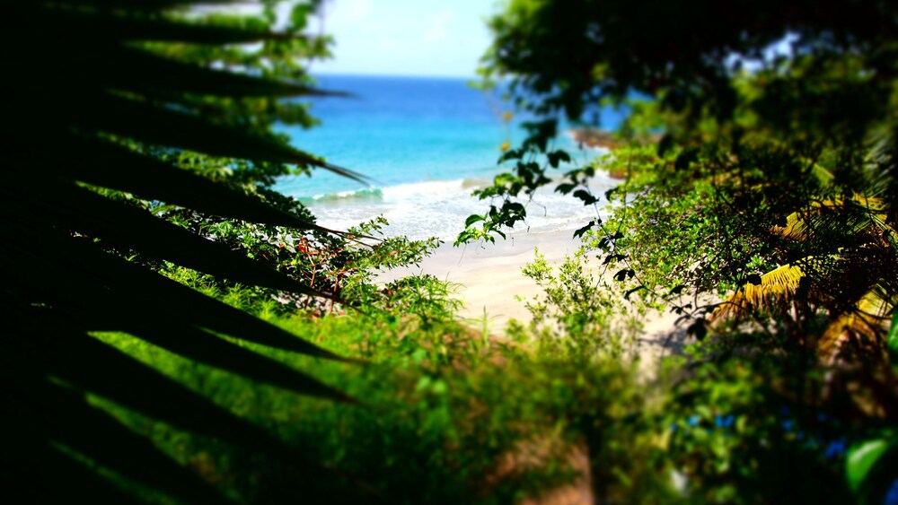 Beach/Ocean View