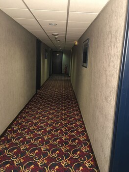 Miscellaneous
