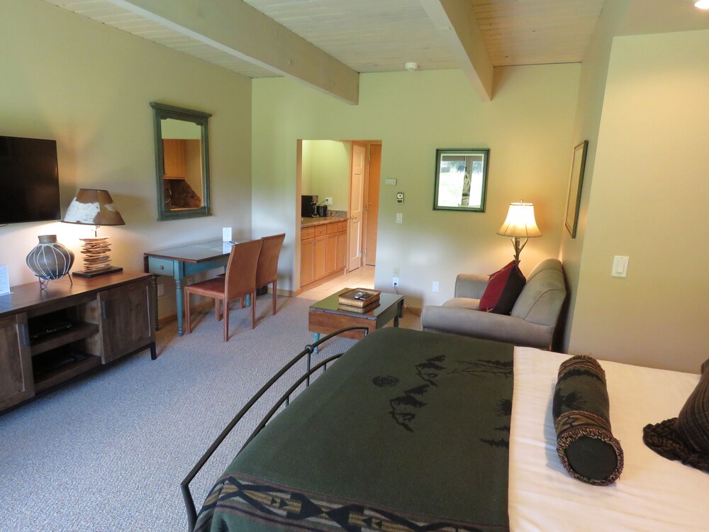 Deluxe Studio, 1 Queen Bed - Guestroom