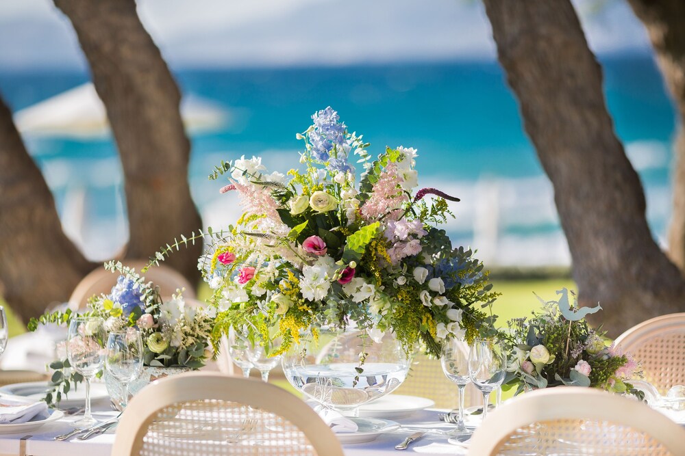 Outdoor Wedding Area