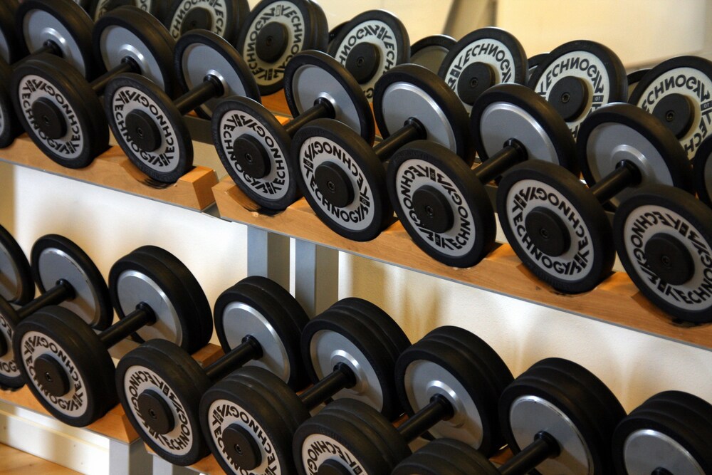 Palestra