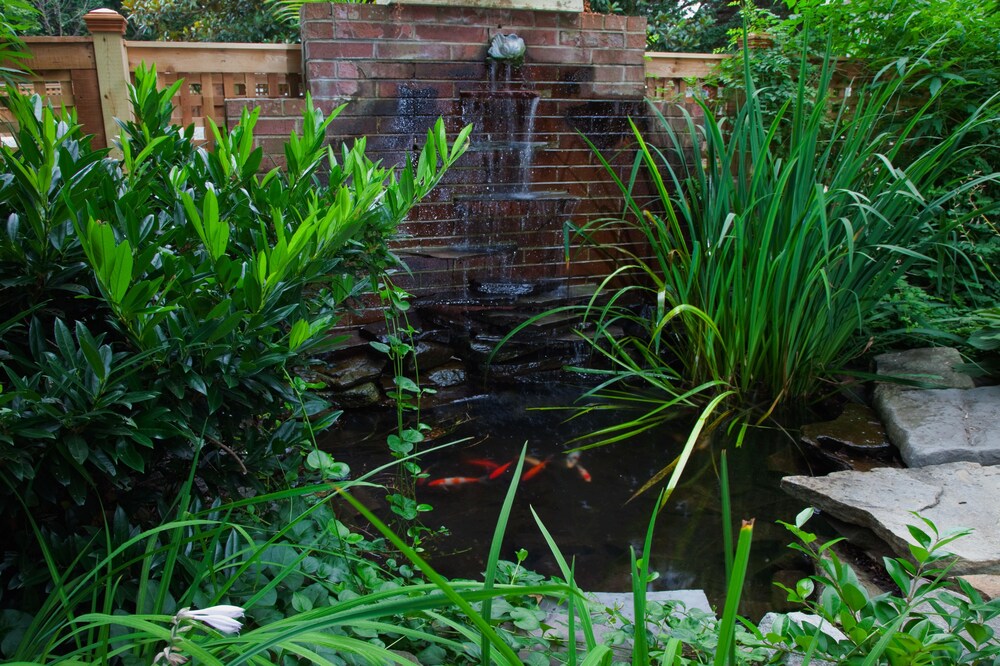 Fountain