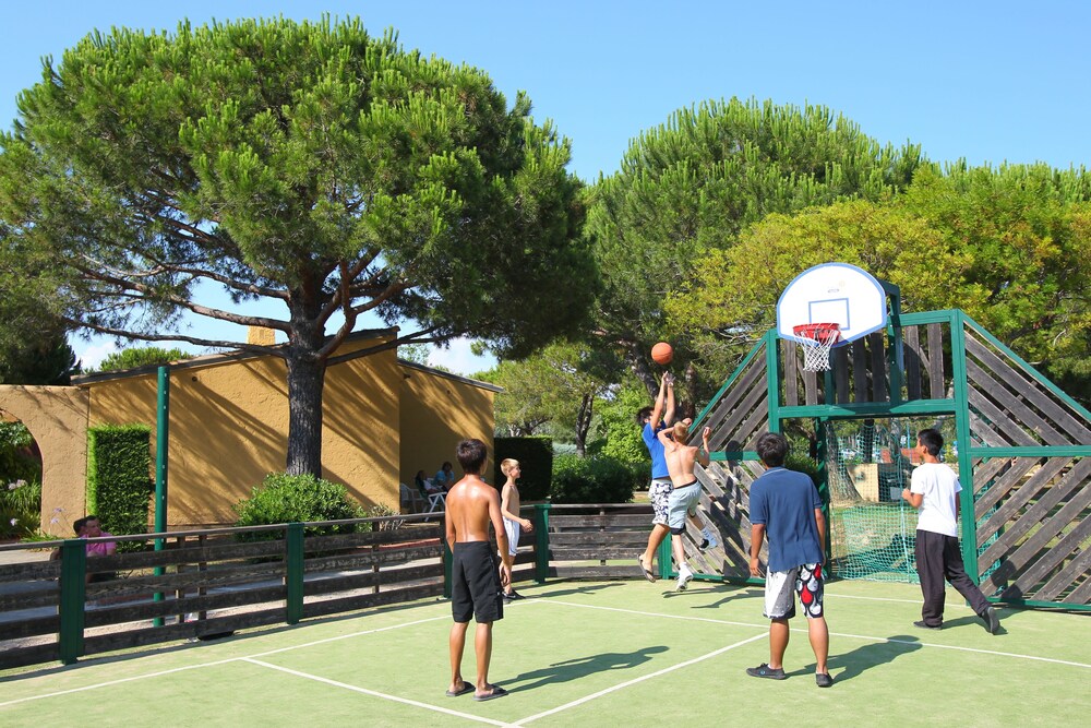 Basketball Court