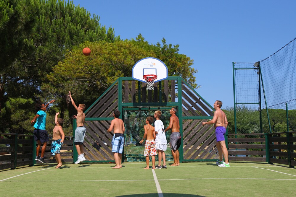 Basketball Court