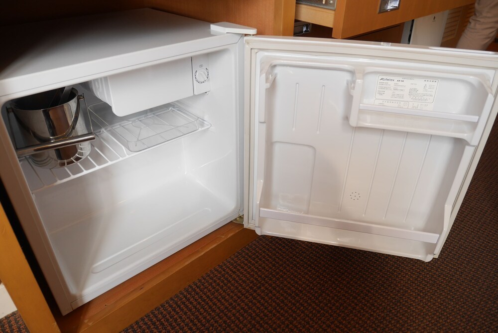 Mini-Refrigerator