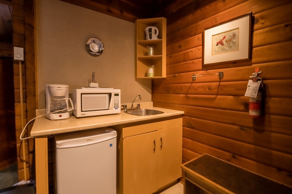 Mini-Refrigerator