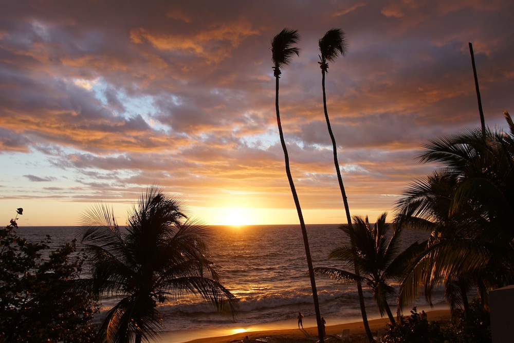 Beach/Ocean View