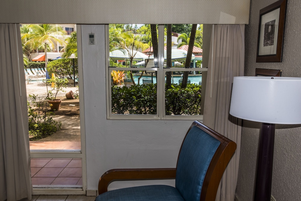 Guestroom View