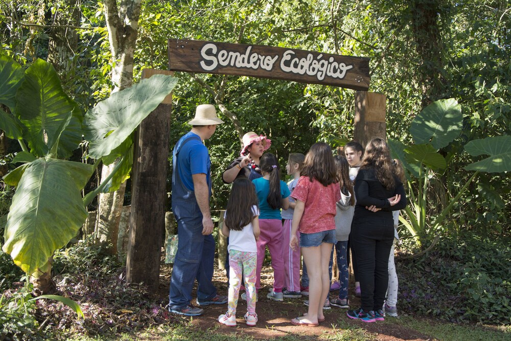 Childrens Activities