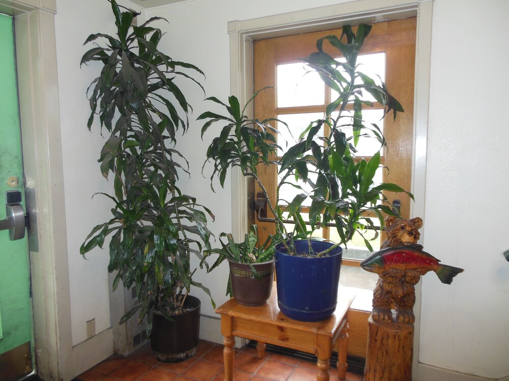 Hotel Interior