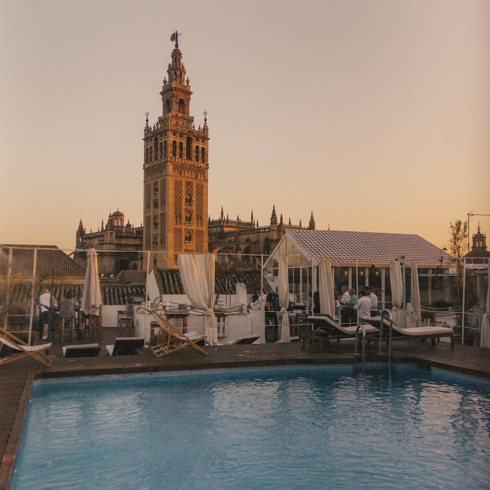 Rooftop Pool