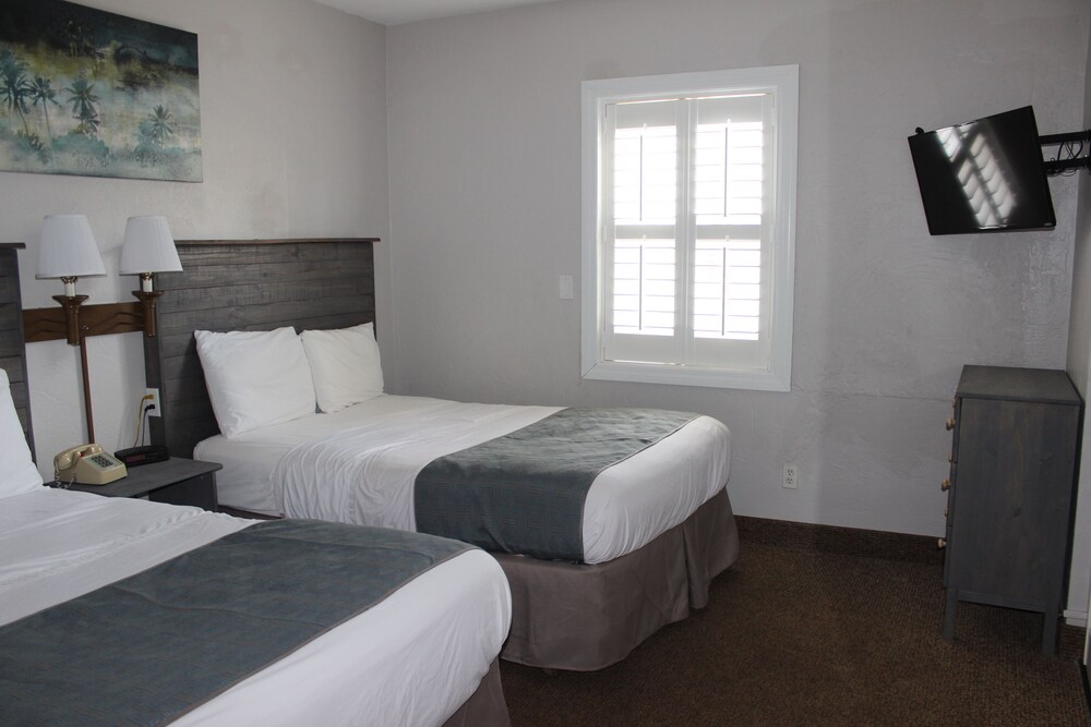 Deluxe Suite, 1 Bedroom, Kitchen - Guestroom