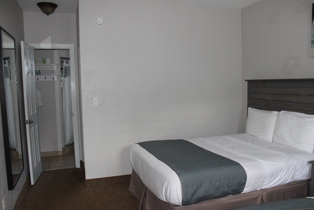Deluxe Suite, 1 Bedroom, Kitchen - Guestroom