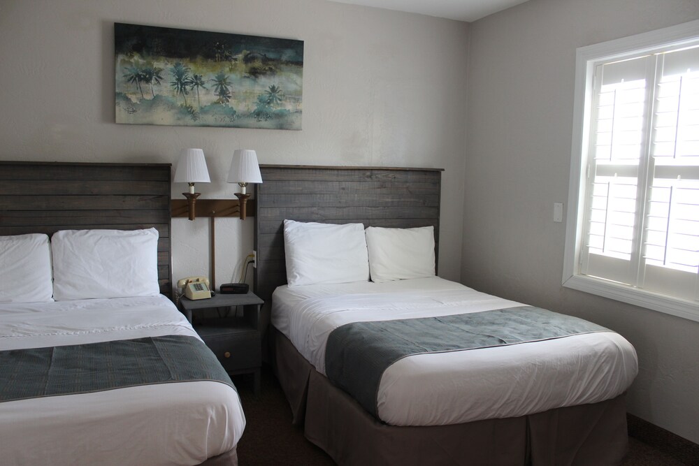 Deluxe Suite, 1 Bedroom, Kitchen - Guestroom