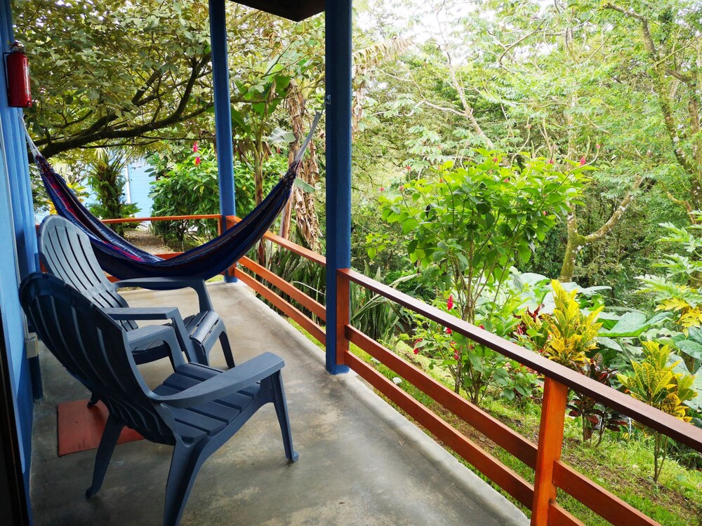 Guestroom View