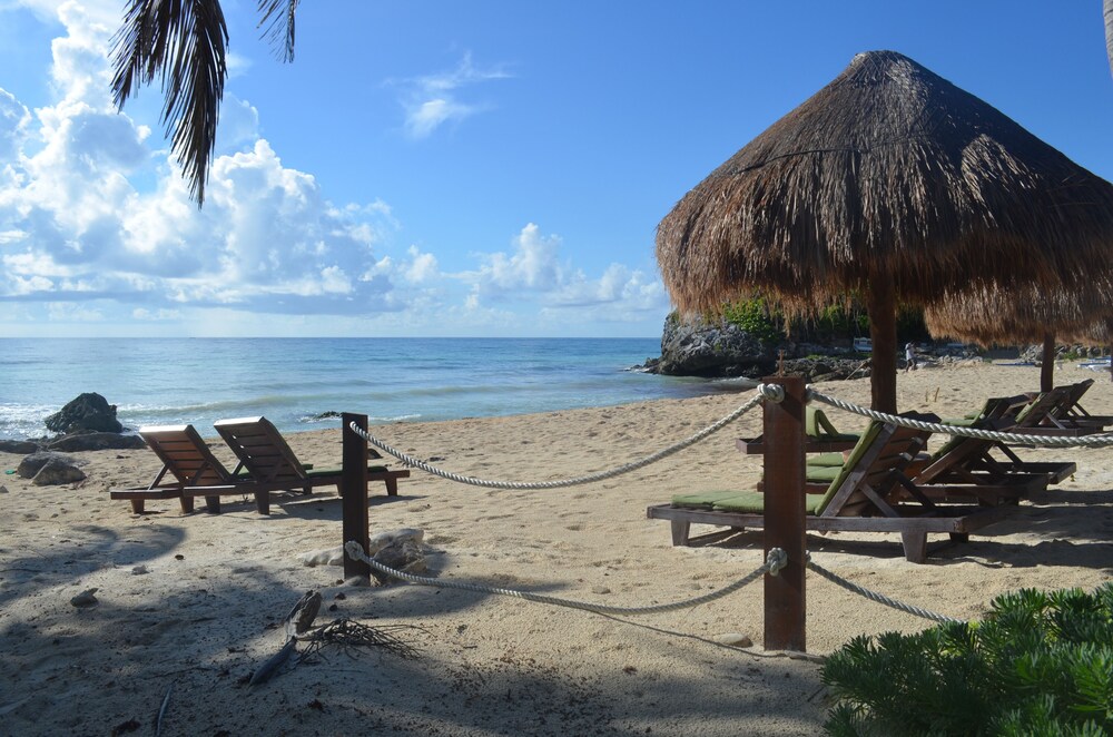 Beach/Ocean View