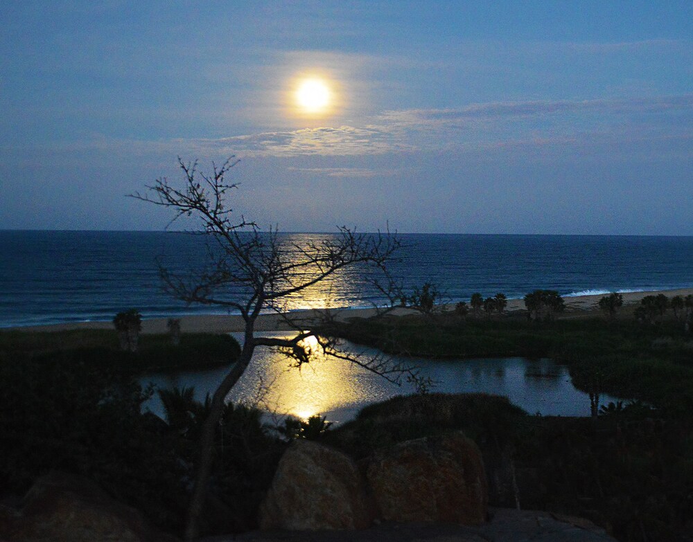 Beach/Ocean View