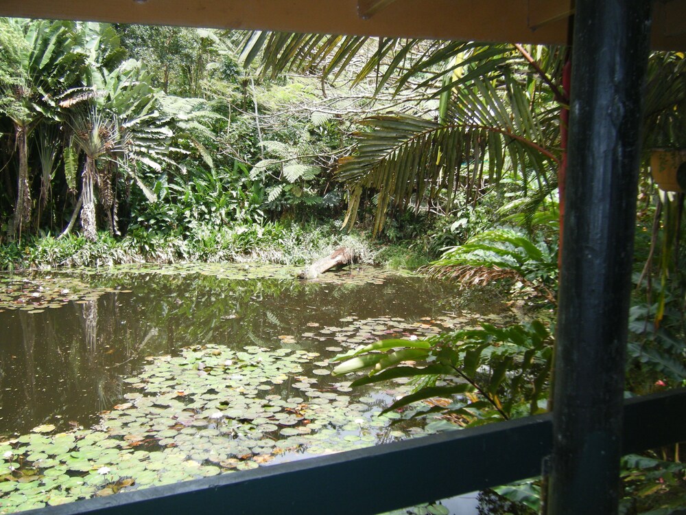 Guestroom View