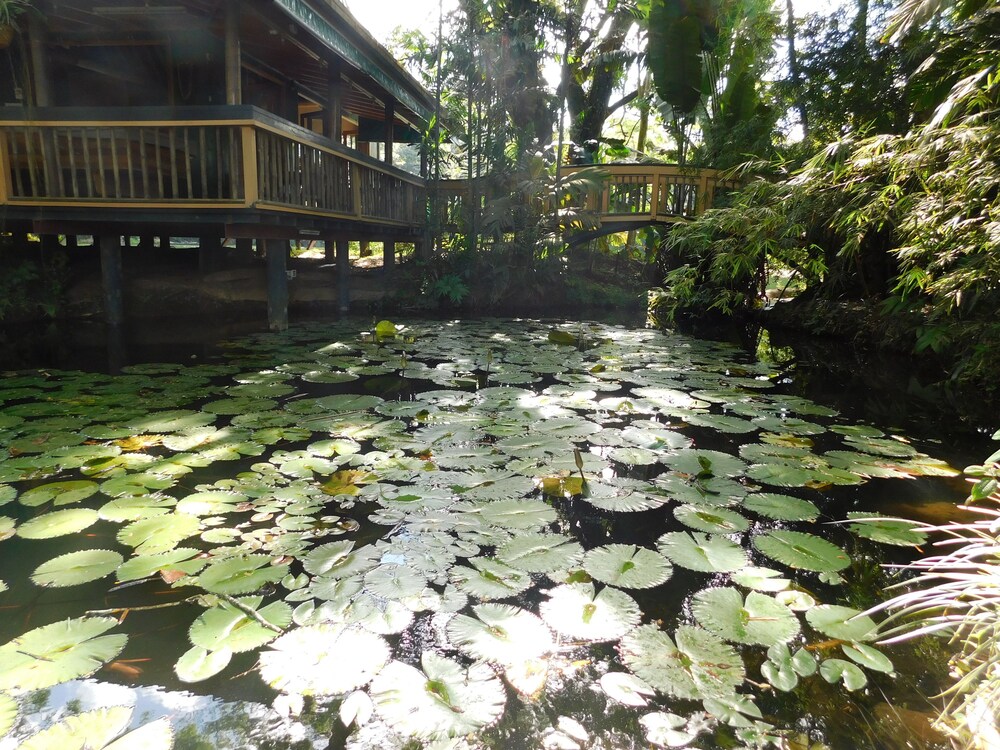 Natural Pool
