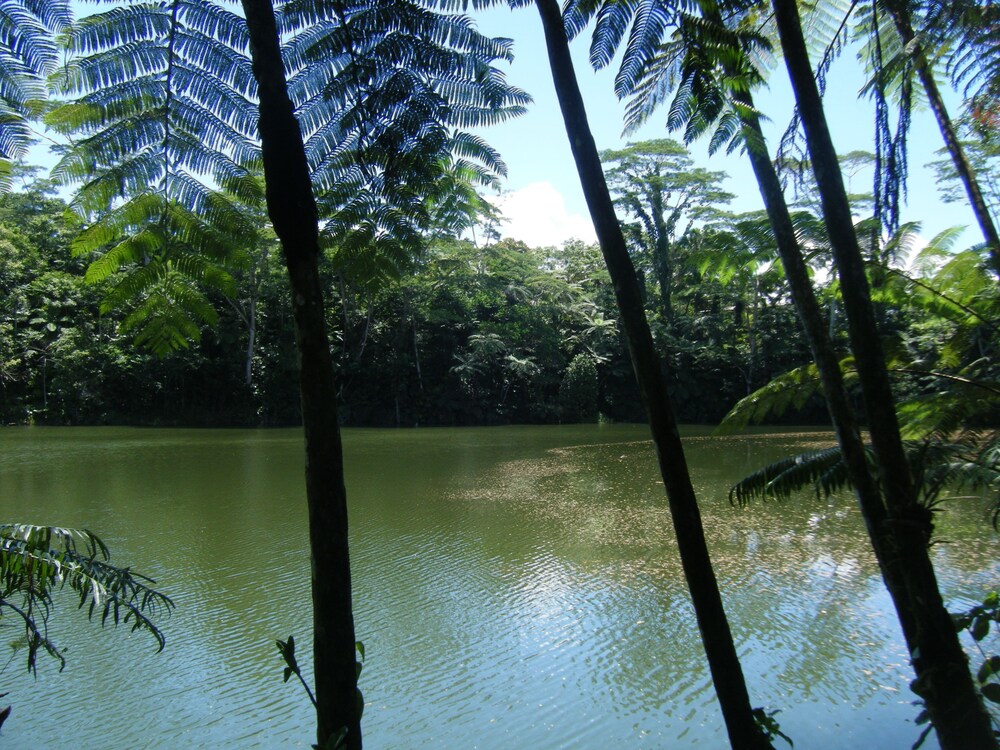 Lake