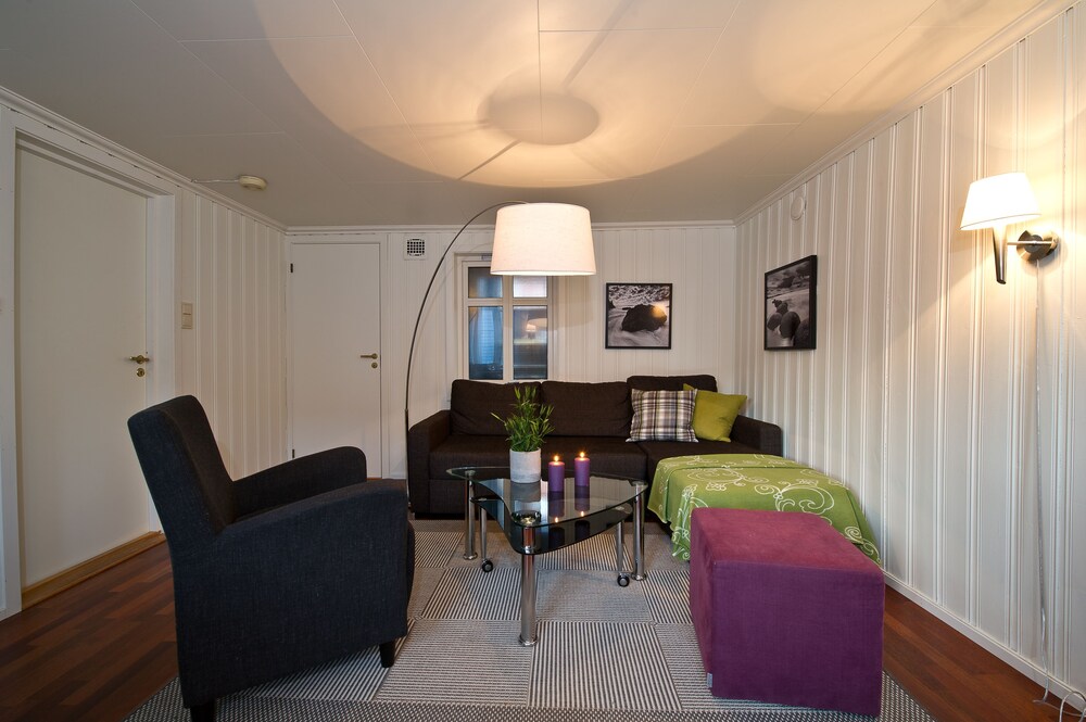 Leilighet, 1 soverom - oppholdsområde