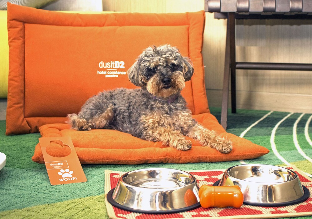 Pet-Friendly