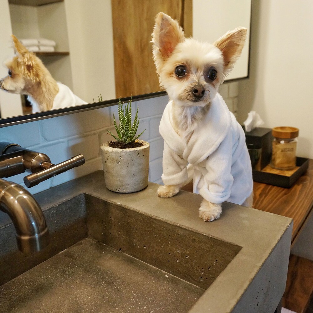 Pet-Friendly