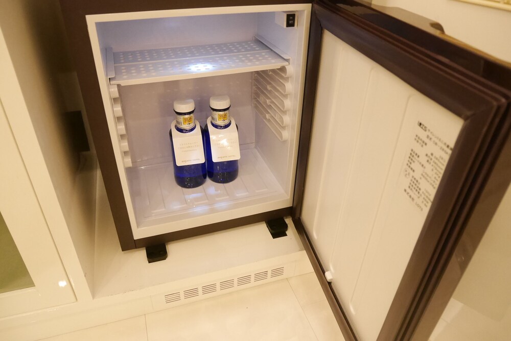 Mini-Refrigerator