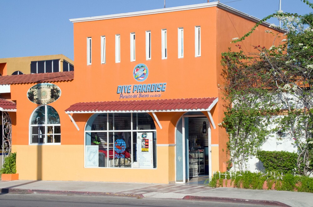 Sports Facility